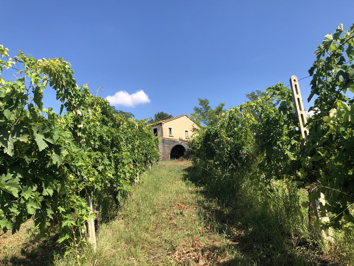 Il Casolare